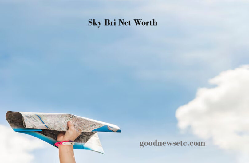 Sky Bri Net Worth